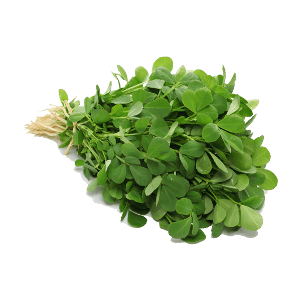 Fenugreek